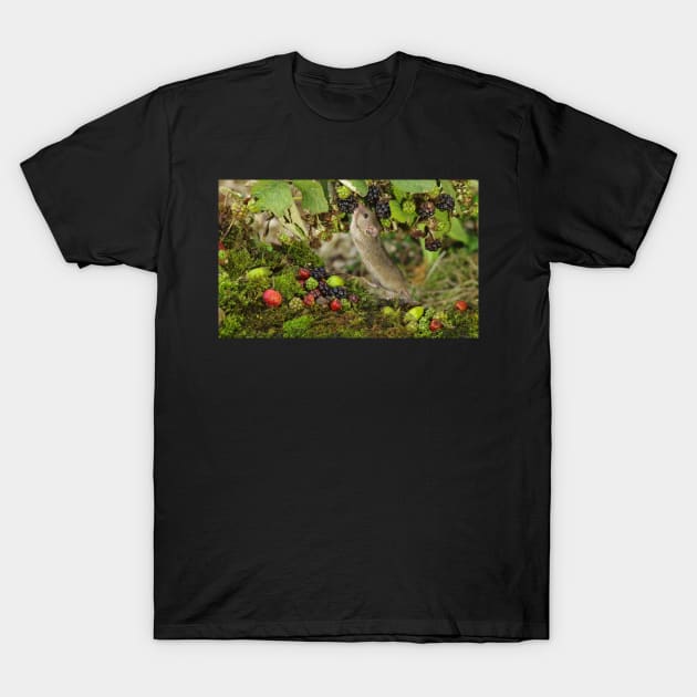 Little mouse nibbling the brambles T-Shirt by Simon-dell